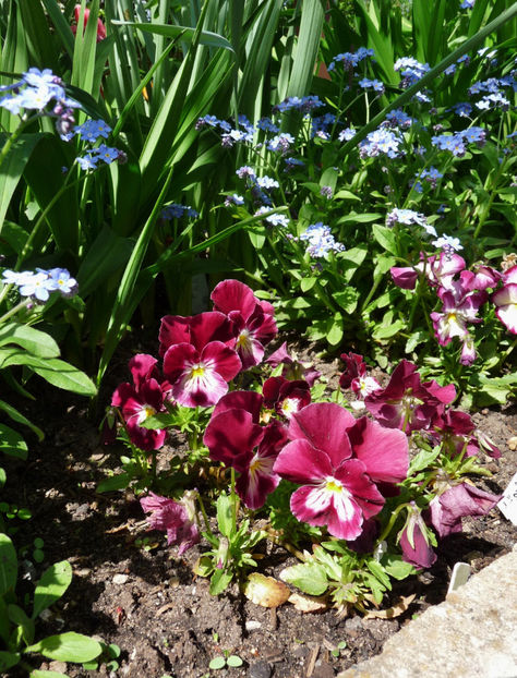  - 2023 - 01 - Primavara