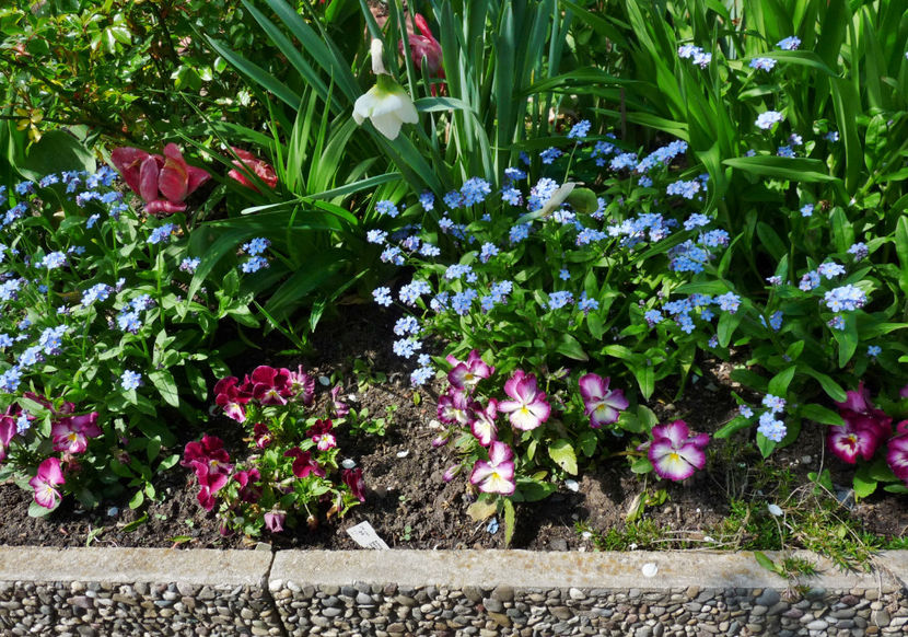  - 2023 - 01 - Primavara