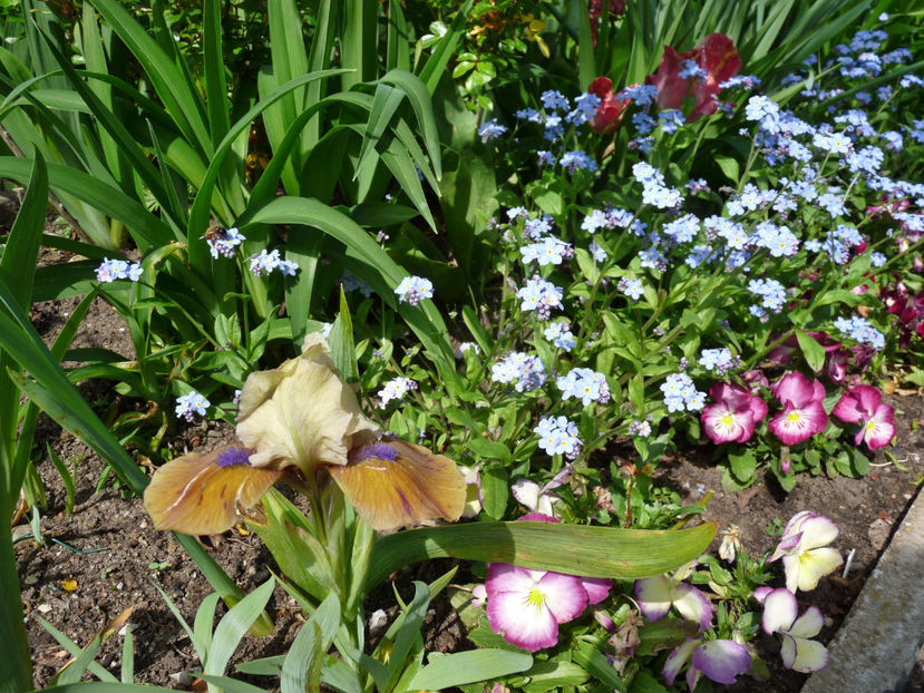  - 2023 - 01 - Primavara