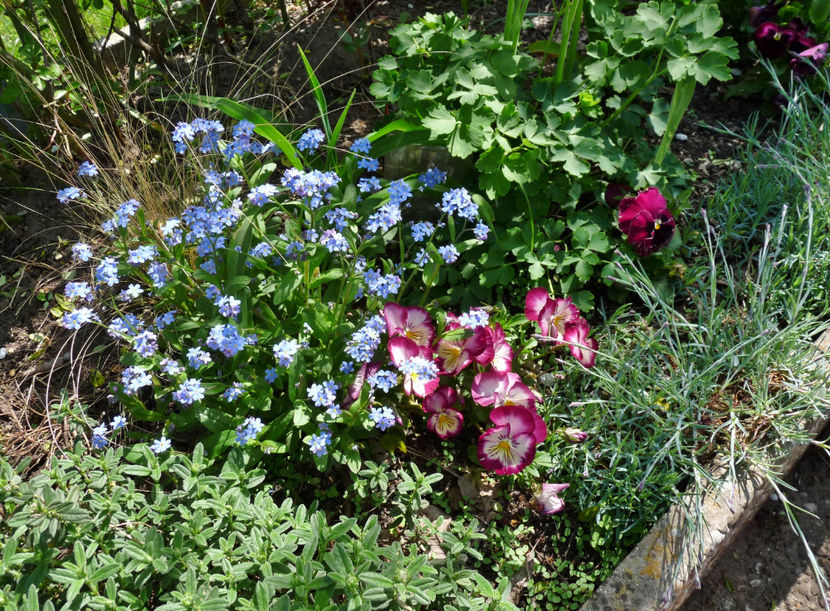  - 2023 - 01 - Primavara