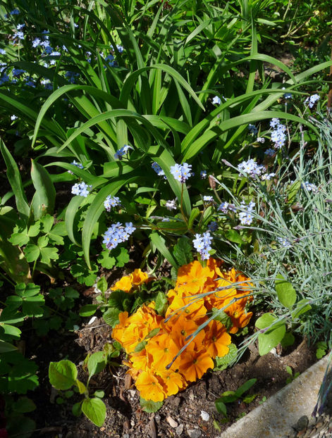  - 2023 - 01 - Primavara