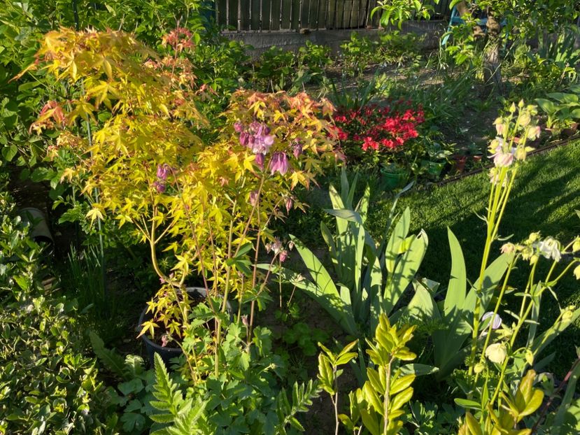 85334828-C94E-4AB2-A61F-DA4FA6183D37 - 01 Primăvara 2023