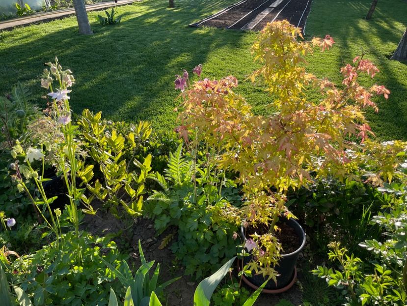 8F31CB21-12D4-4799-B172-F1C1ECCA7290 - 01 Primăvara 2023