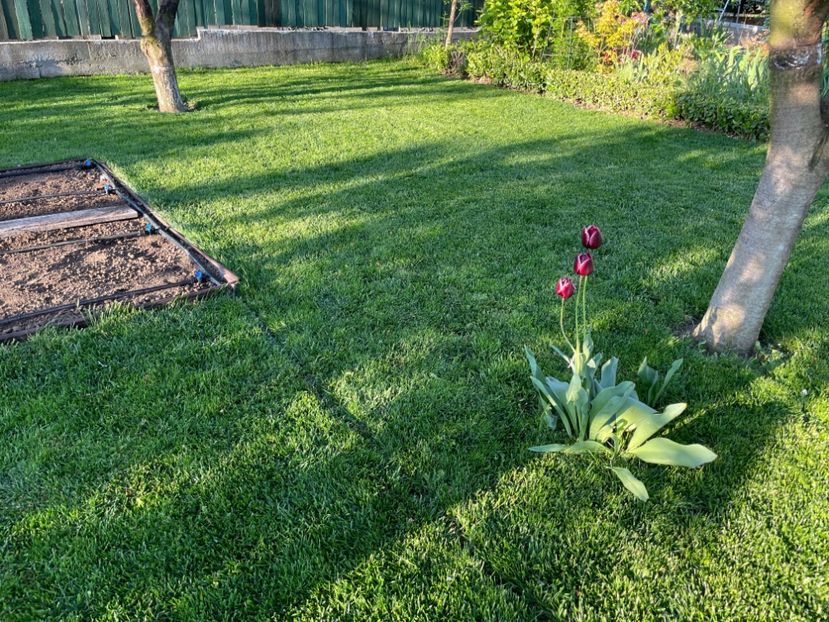 2CC72A5C-B78F-40C7-A037-E3E3BAA7A300 - 01 Primăvara 2023