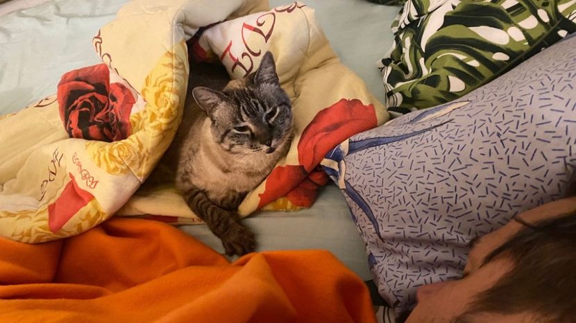 IMG-20210906-WA0000 - Emyti