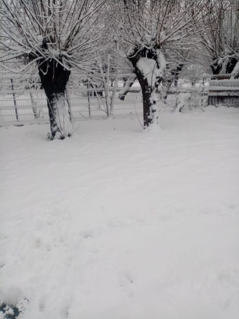 IMG-20221125-WA0002 - 2023-5 Mai