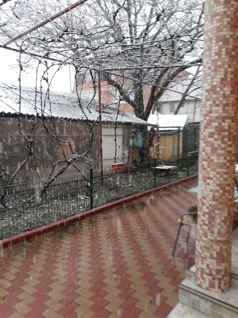 IMG-20230120-WA0004 - 2023-5 Mai