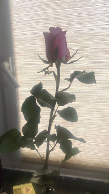 IMG-20230308-WA0017 - 2023-5 Mai