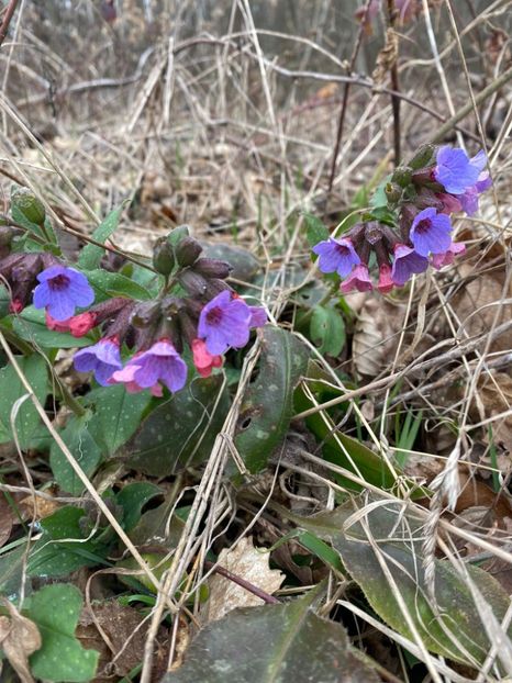 IMG-20230315-WA0009 - 2023-5 Mai