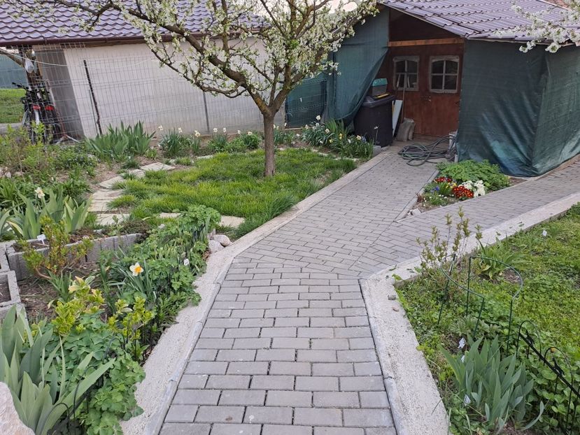  - Gradina 2023