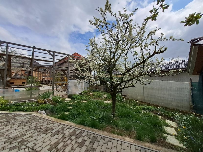  - Gradina 2023