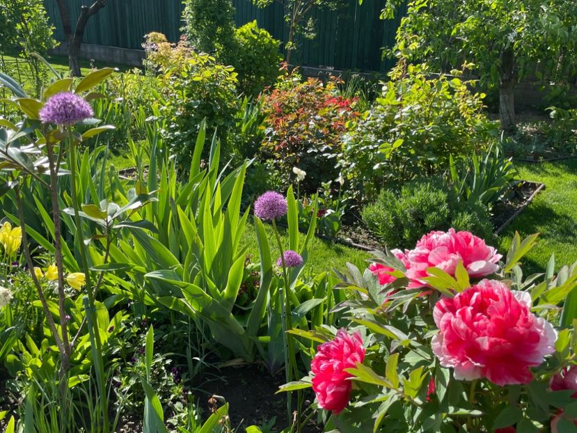 0D57F4A1-9C68-4795-A018-6BB687AC6E99 - 01 Primăvara 2023