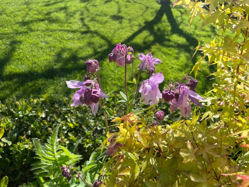 BF3DC035-7F29-4977-A7E2-916C9C0F85F9 - 01 Primăvara 2023