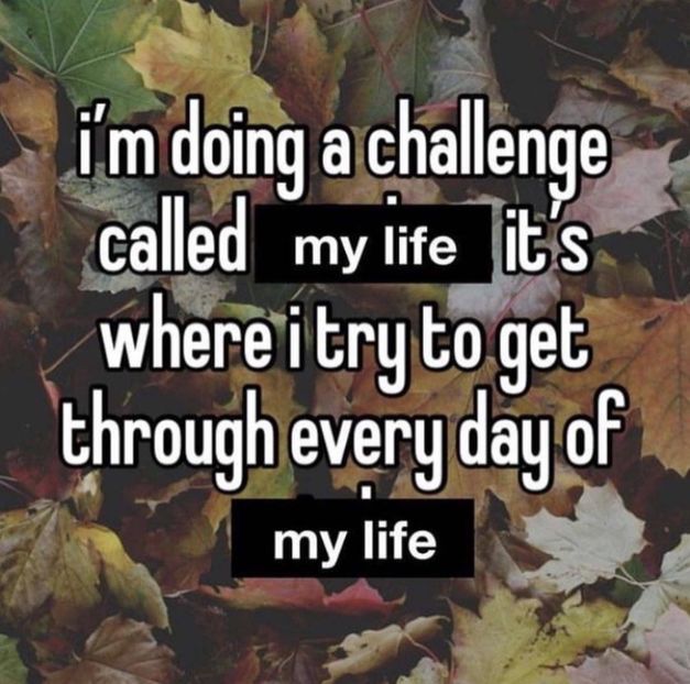  - Collection of Tintypes