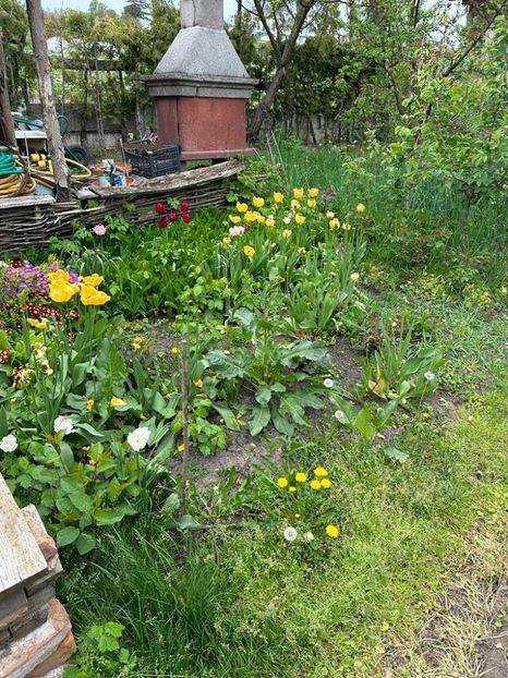 MkQ01wqhdeFGoP3rKVDAH2gMzF4BZPIzl5hQuKGZYbs=_plaintext_638190567694087103 - 0 001 2023 GRADINA ROMAN 07 05 2023