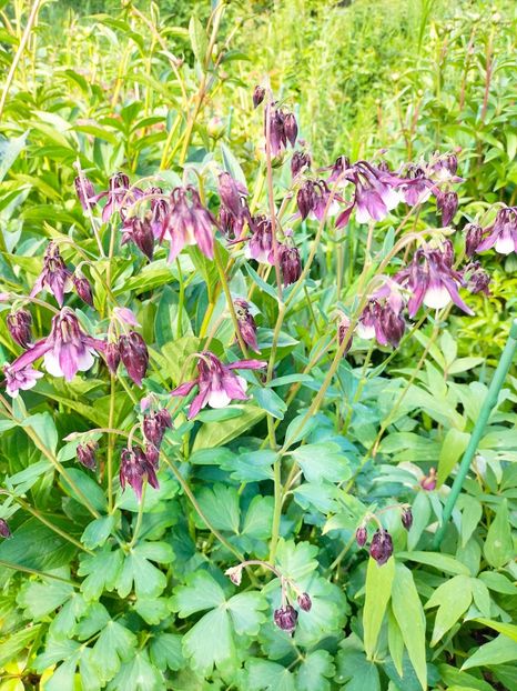 IMG20230507164149 - Mai 2023