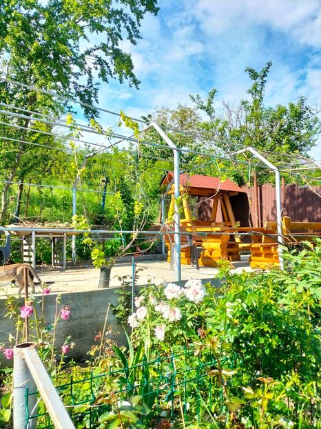 IMG20230507170547 - Mai 2023