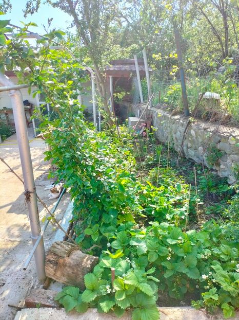 IMG20230507170426 - Mai 2023