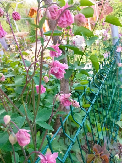 IMG20230507164909 - Mai 2023