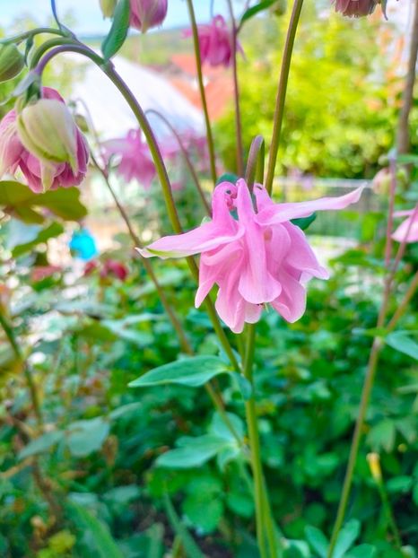 IMG20230507164853 - Mai 2023