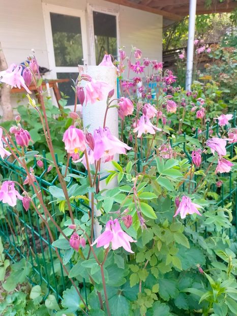 IMG20230507164819 - Mai 2023