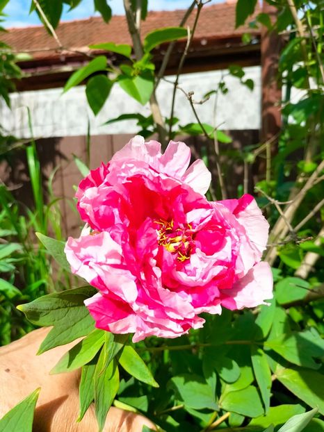 IMG20230507164722 - Mai 2023