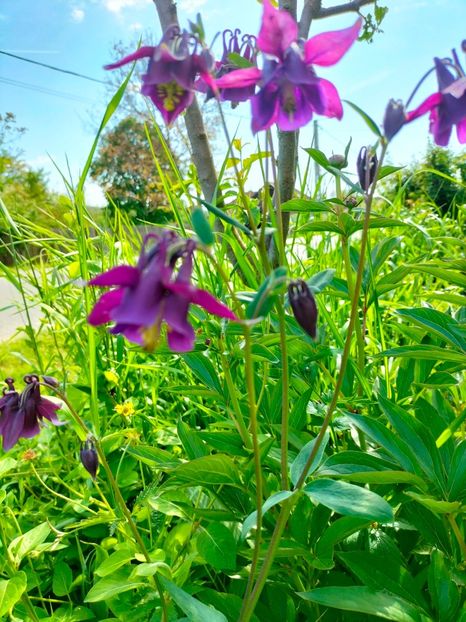 IMG20230507164533 - Mai 2023