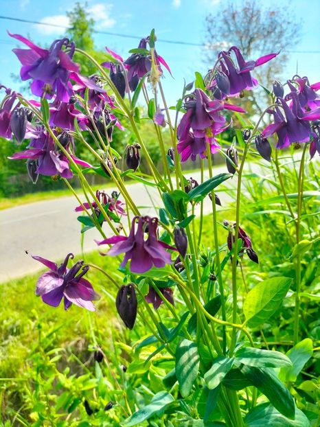 IMG20230507164535 - Mai 2023