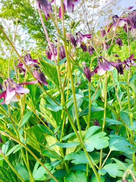 IMG20230507164153 - Mai 2023