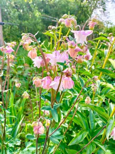 IMG20230507164054 - Mai 2023