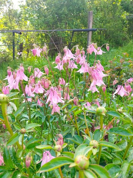 IMG20230507164043 - Mai 2023