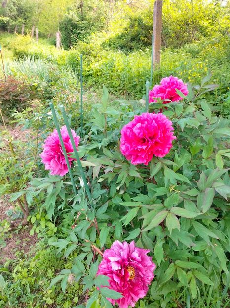 IMG20230507163918 - Mai 2023