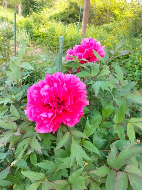 IMG20230507163921 - Mai 2023