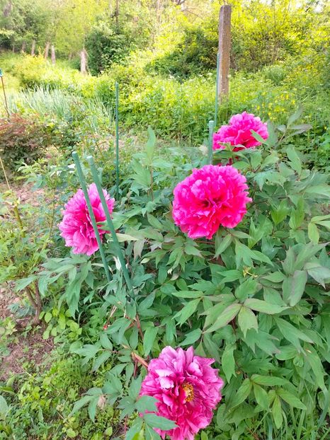 IMG20230507163917 - Mai 2023