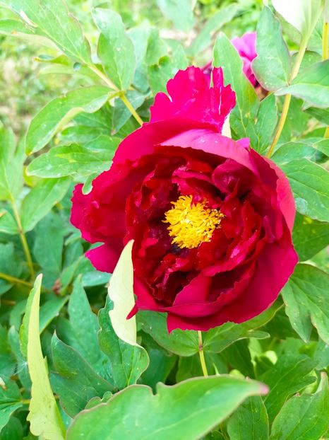 IMG20230507163854 - Mai 2023