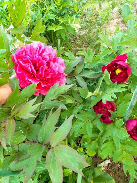 IMG20230507163847 - Mai 2023