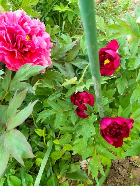 IMG20230507163842 - Mai 2023