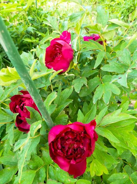 IMG20230507163828 - Mai 2023