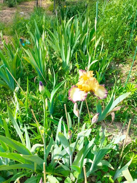 IMG20230507163733 - Mai 2023