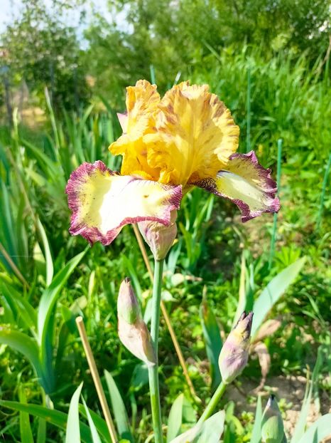 IMG20230507163639 - Mai 2023