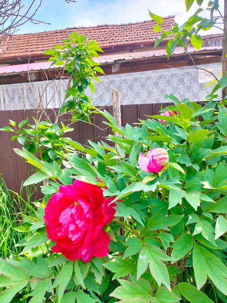 IMG20230507105927 - Mai 2023