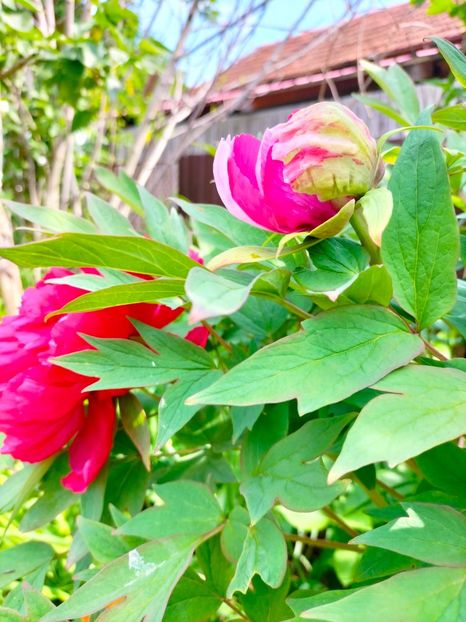 IMG20230507105917 - Mai 2023