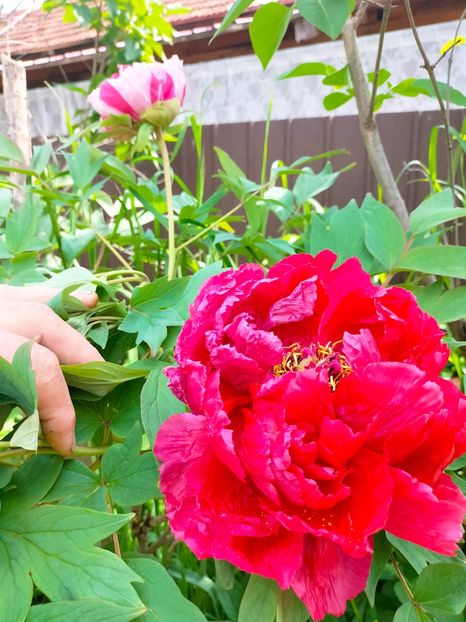 IMG20230507105914 - Mai 2023