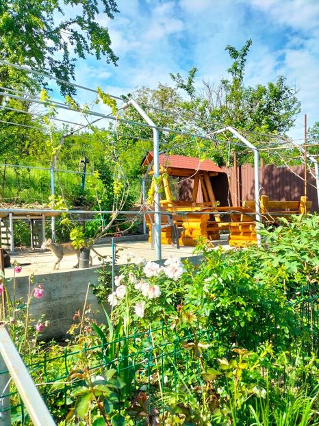 IMG20230507170544 - Album 2023 vol 1