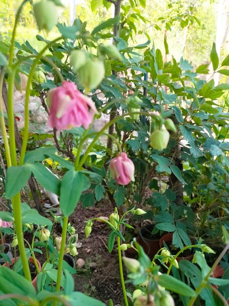 IMG20230507164924 - Album 2023 vol 1