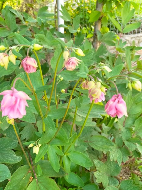 IMG20230507164847 - Album 2023 vol 1