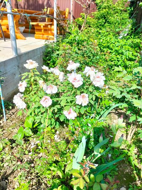 IMG20230507164830 - Album 2023 vol 1