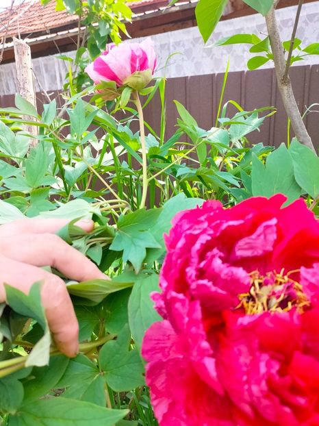 IMG20230507105911 - Album 2023 vol 1