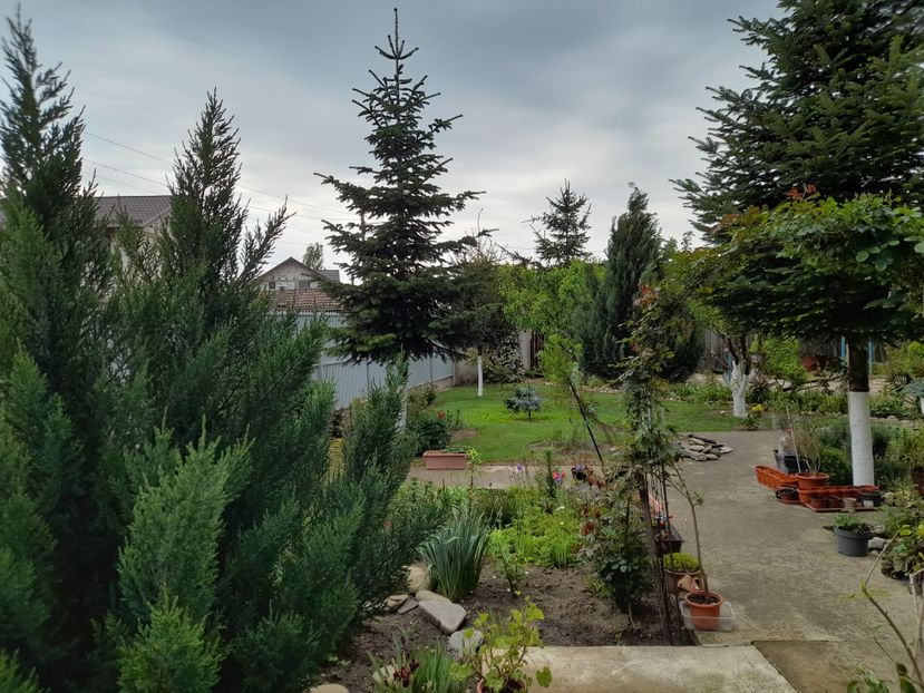  - 1 Bucurii nemuritoare 2023