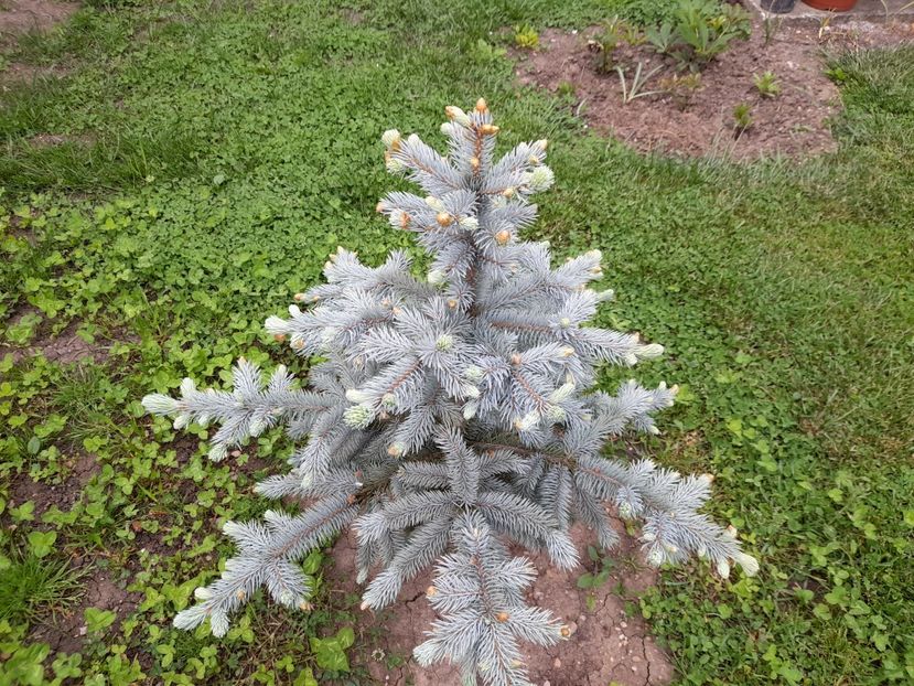  - 1 Bucurii nemuritoare 2023